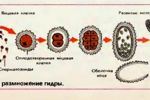 Кракен даркнет что известно