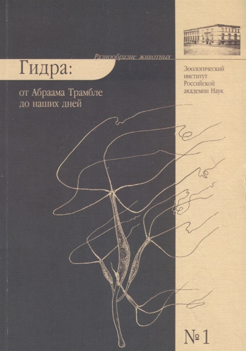 Нарко маркетплейс